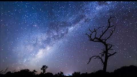 Analog Keys,Behringer pro-1