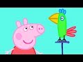 Peppa Pig Français  Animaux  Compilation