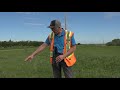 In the field with Harry: Episode 19