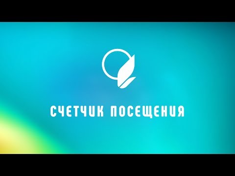 Счетчик посещений: как добавить на сайт код счётчика