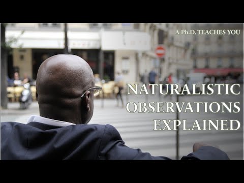 Naturalistic Observations Explained: A Ph.D. Teaches You - YouTube