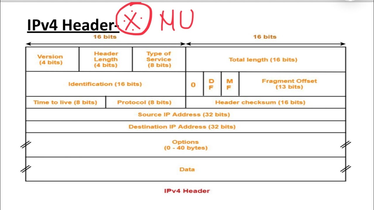 4.6: IPV4 Header: Network Layer
