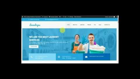 How to Change Color Scheme in Laundry Business WordPress Theme
