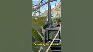 Automatic paddles for Quansheng UV-5K IJV firmware - going from prototype to production.