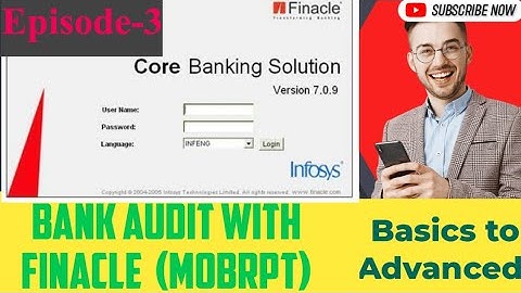Bank Audit -Finacle-Basic to advanced Ep-03 #Concurrent audit #Statutory audit| MOBRPT kese karein