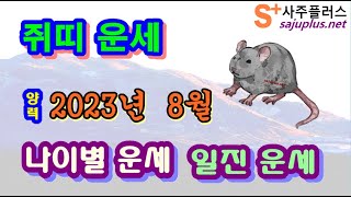 8월 쥐띠 운세 - 2023년 8월 계묘년 경신월 쥐띠 일진 사주 운세보기