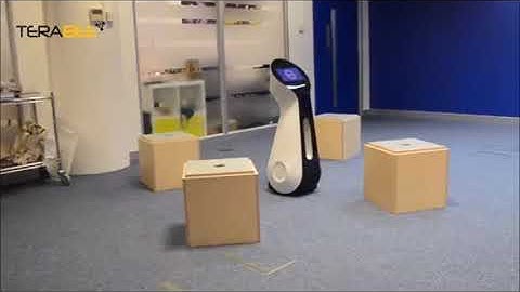 Mobile Robotics with TeraRanger Multiflex