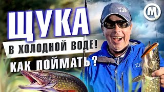 ЩУКА в холодной воде! ТОП приманок!