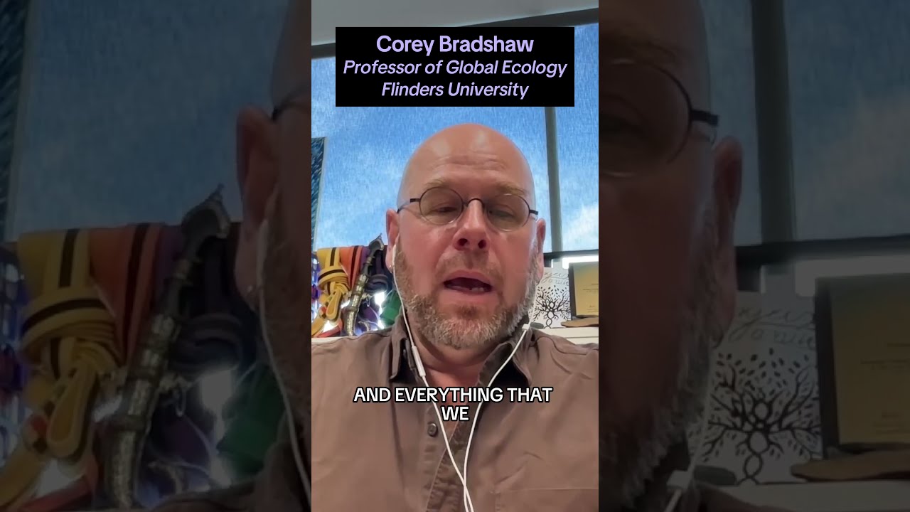 Global Ecology Expert Corey Bradshaw On The Scale Of Biodiversity Loss We Re Witnessing 