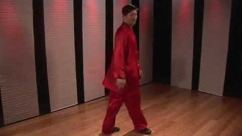 Northern Style Kung Fu Combo: Palm Block, Side Punch & Tornado Kick