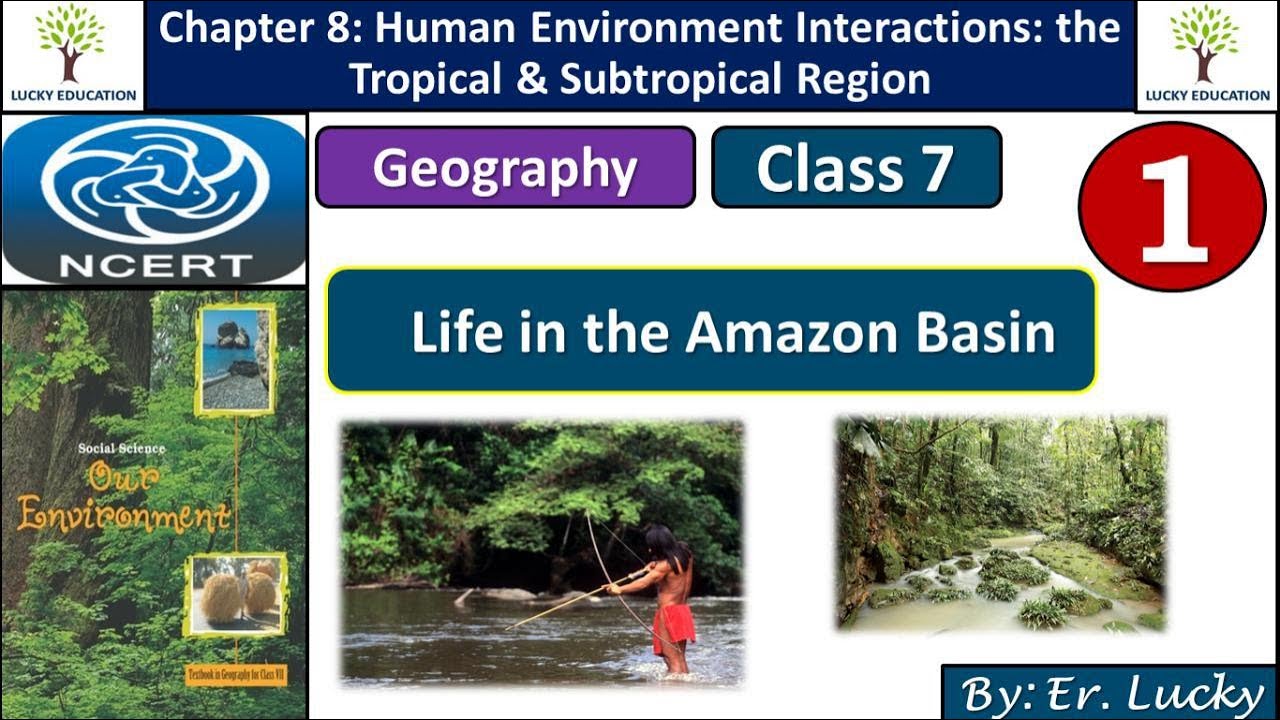 case study life in the amazon river basin class 6