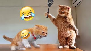 🐱😘 So Funny! Funniest Cats and Dogs 2024 😹🐱 Best Funny Animal Videos 2024 # 19