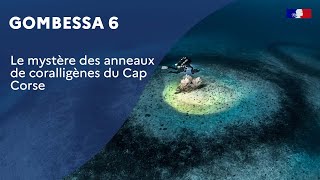 GOMBESSA 6 : Le mystère des anneaux de coralligènes du Cap Corse