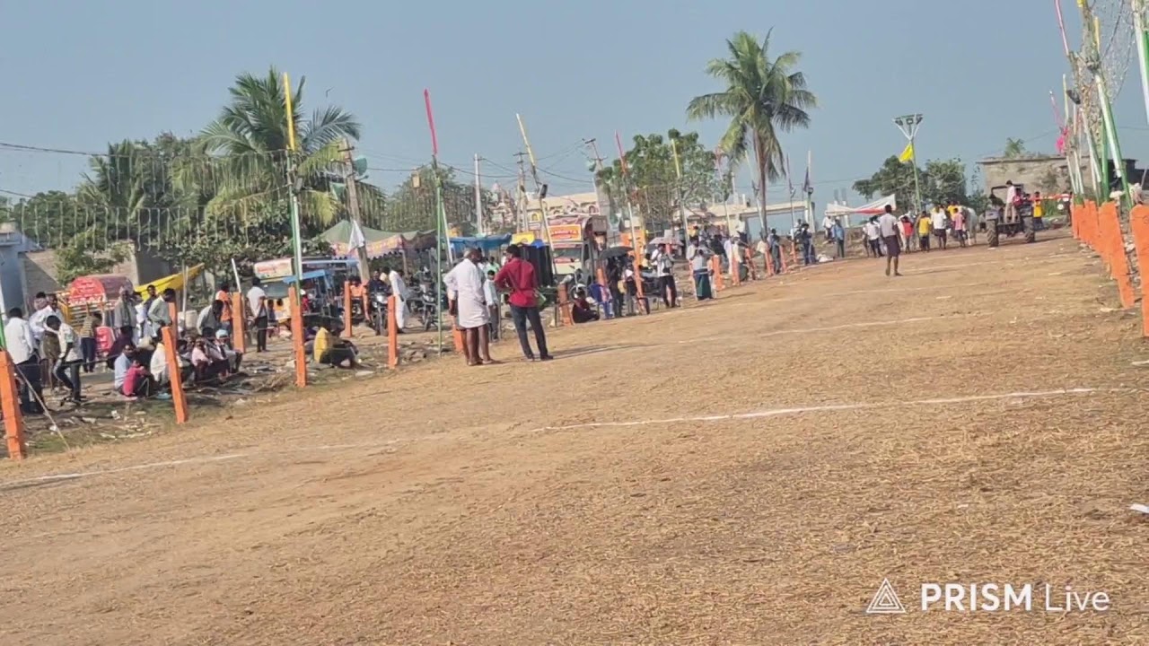 1va Jatha 2 పళ్ళు అన్నంబొట్లవారిపాలెం 🐂🔥4731 4