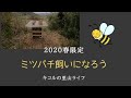 2020年　春限定　ミツバチ飼いになろう　今からでも遅くないよ