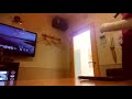 191019   森昌子   越冬つばめ   歌った
