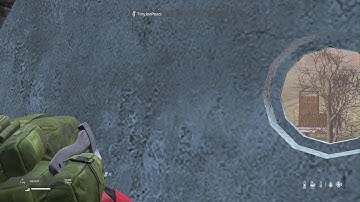 DayZ traitor