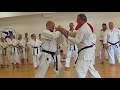 Goju Ryu Karate Do Seiwakai Seminar - Partizanske 02.06.2018 with Dr. Rastislav Mraz Kyoshi 7th DAN