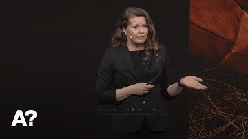 Cultivating curiosity – Taija Turunen