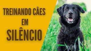 Treinando cães em silêncio