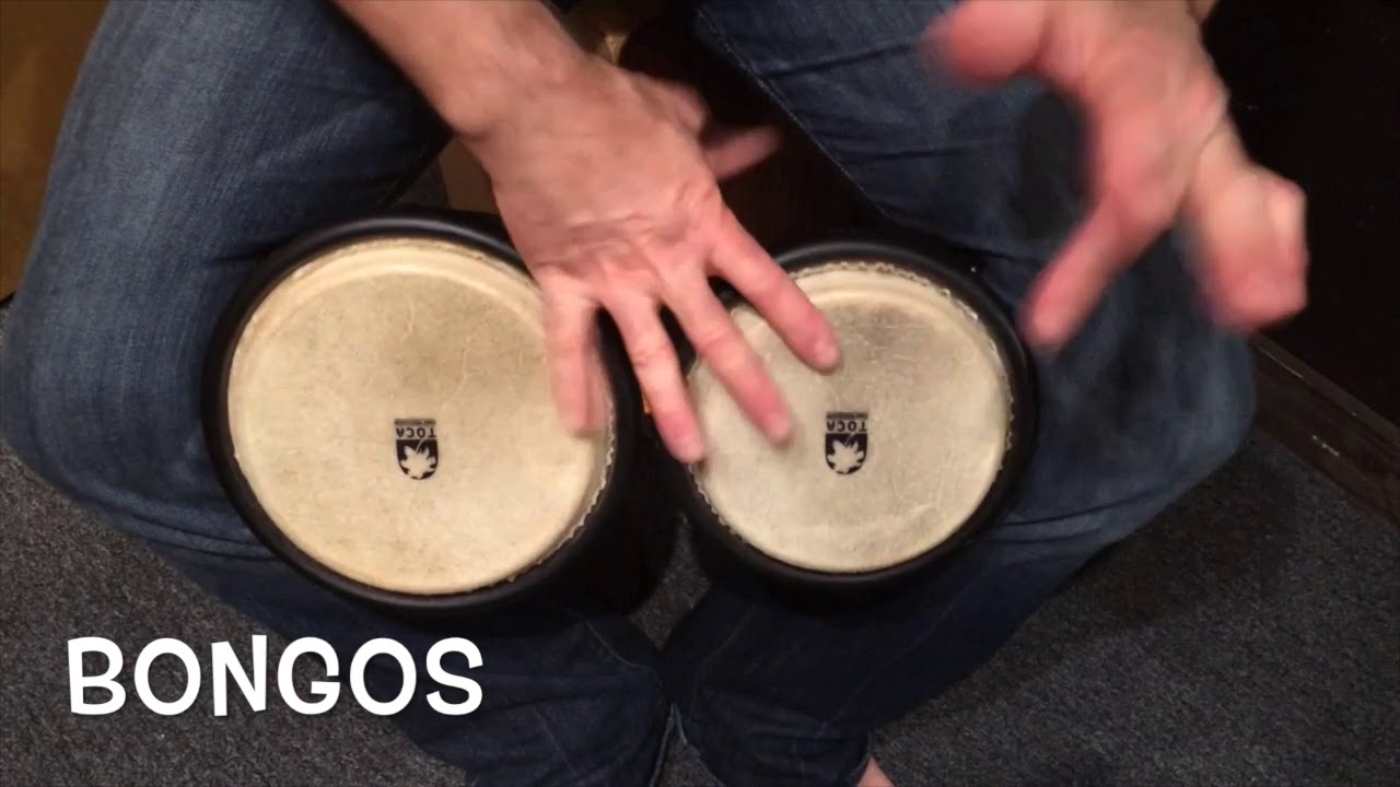 Latin Percussion & Drum Kit Lessons YouTube