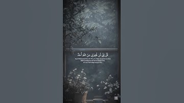 سورة الجن❤️🎧#القرآن_الكريم #القرآن #قرآن #تلاوة_خاشعة #quran #like #subscribe #mydesign #explore
