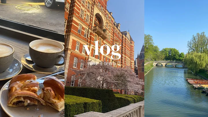 medical school Vlog | year 1 term 2, study, cafes,...