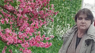 Ціни на фрукти та овочі і пасочки.
