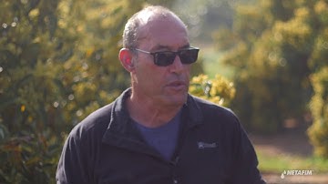 Avocado Israel:  Overcoming water challenges using drip I Netafim