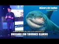 Bitácora del Capitan, Buceando con Tiburones Blancos