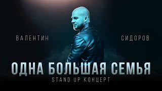 Валентин Сидоров - Одна Большая Семья | Stand Up