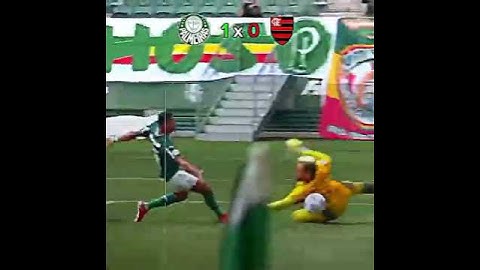 O dia que o Palmeiras aplaudiu o Flamengo em pleno Allianz Parque #flamengo #futebol