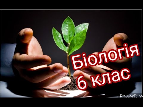 Біологія 6 клас. Загальна характеристика грибів. Особливості живлення, розмноження. Шапкові гриби