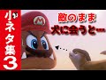 【Switch】スーパーマリオ オデッセイ 小ネタ集３