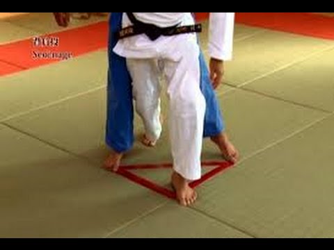 JUDO TECHNIQUES: Toshihiko Koga 古賀 稔彦 (JPN) - SEOI NAGE