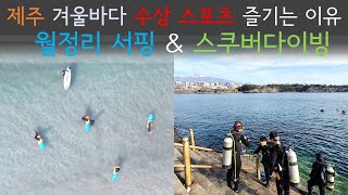 제주 겨울바다 물놀이 수상스포츠 월정리 서핑, 서귀포 …