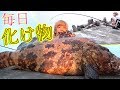 10kgオーバー当たり前！毎日化け物サイズの魚が釣れる！[与那国遠征 #2]