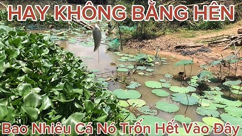 Chuyến Câu Cá Rô Thác Lác Tân Hưng Quá Tuyệt Vời , Nắng Thì Nung Người@Caucalongan62