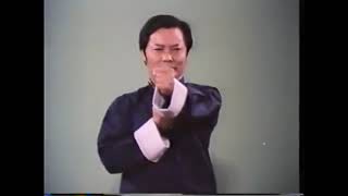 Wing Chun   The Science of InFighting Wong Shun Leung LEGEND