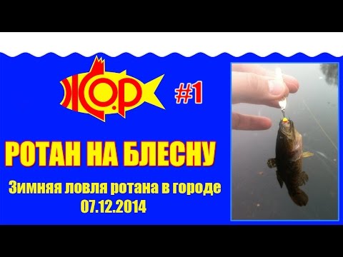 ловля ротана на блесну в пруду