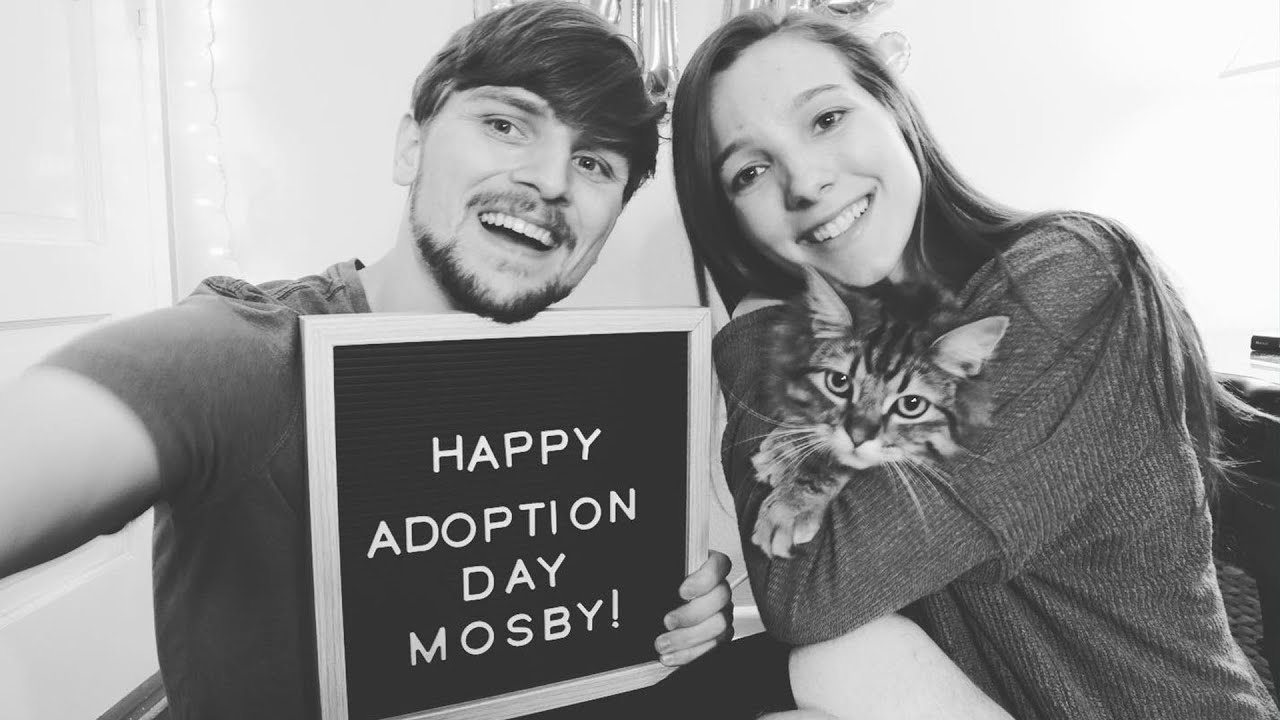 Mosby's 1yr Adoptaversary!!!!