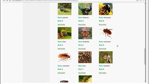 Tag Based Image Search Using Social re-ranking