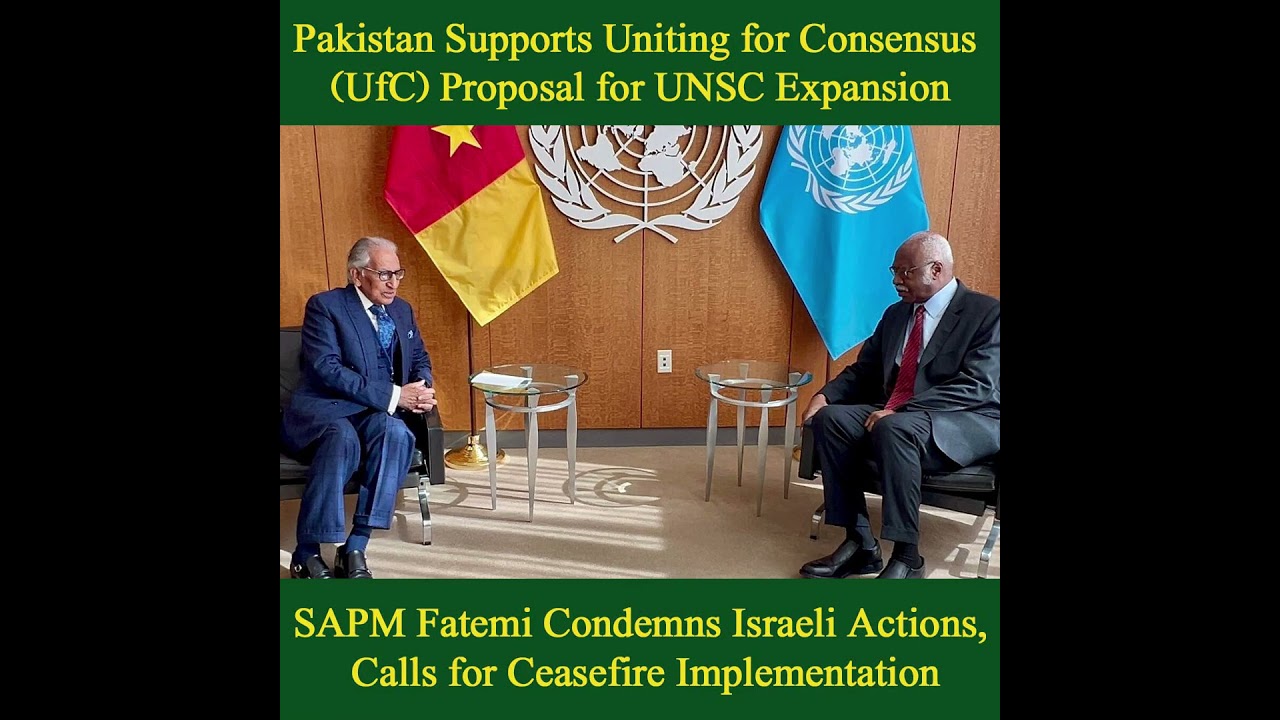 Pakistan’s Stand on Kashmir, Palestine & UNSC Reforms | SAPM Tariq Fatemi Meets UNGA President
