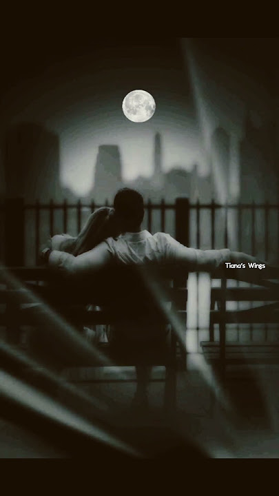PogaTha Enna Vittu🌚 ..#whatsappstatusvideo #lovestatus #lovesong #whatsapp #nightlife