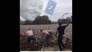 G Sawa Off The Vine Clips -Origin Of The House Loli