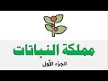 مملكة النباتات ج 1 العلوم والحياة الصف الثامن الأساسي المنهاج الفلسطيني 