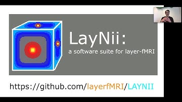 Hands-on layer-fMRI analysis with LayNii, as part of the BID4 workshop (Renzo Huber)
