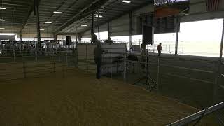 Umatilla County Fair 2025 - 4-H/FFA Sheep Showmanship
