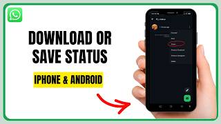 How To Download or Save WhatsApp Status on iPhone (2026) – Step‑by‑Step Guide screenshot 4