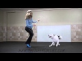 Boogie shoes canine freestyle routine